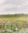 Wildflower Meadow